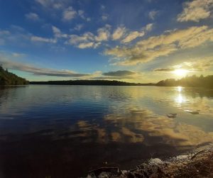 Photo by Ellen Rudden Cavan