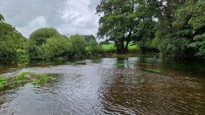 A waterbody in the Fermoy Municipal District