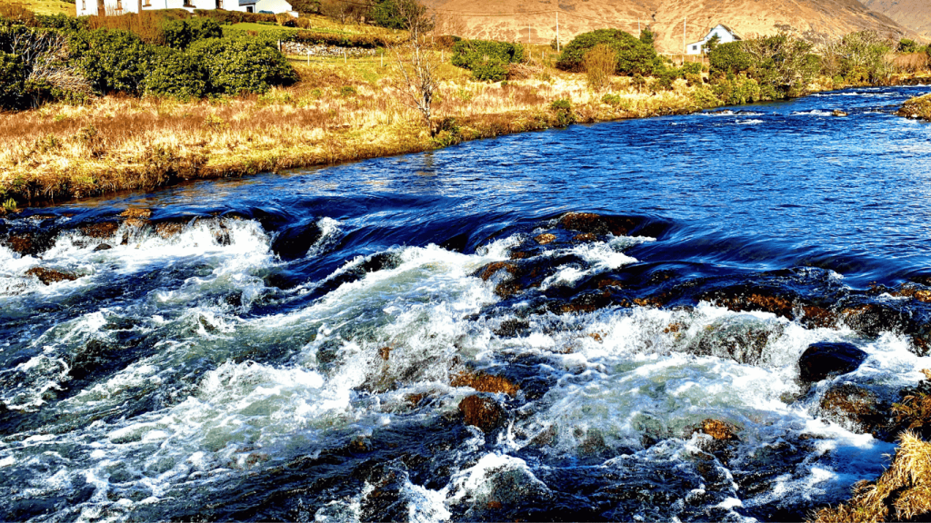 A waterbody in Wexford.