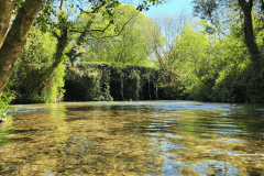 River Bann, Co. Wexford: 